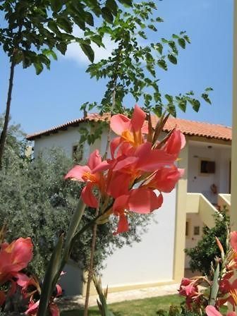 Hotel Heleni Apartments Epidaurosz Kültér fotó